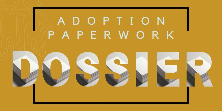 Adoption Q&A: What is a Dossier?
